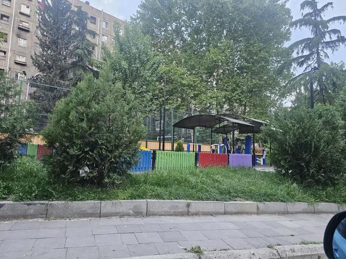 https://static.ss.ge/20260603/13_2cf1cf49-0a04-439e-ad11-04ec0875608d_Thumb.jpg