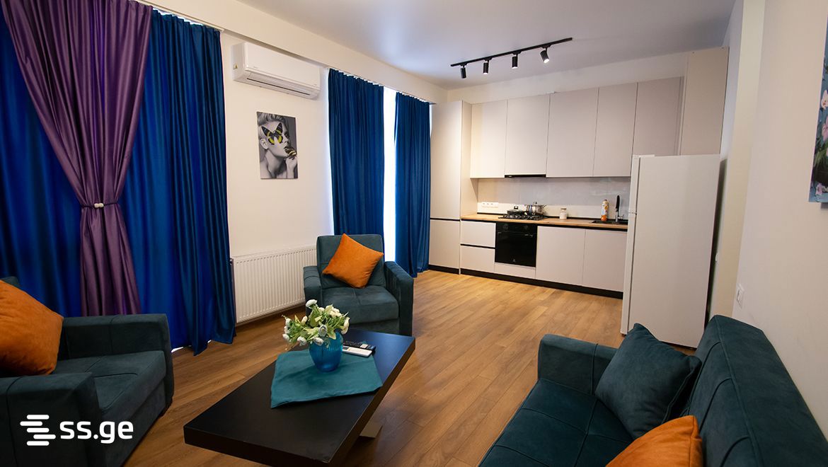 2 room Flat Daily rent. Mukhiani - Widok 6