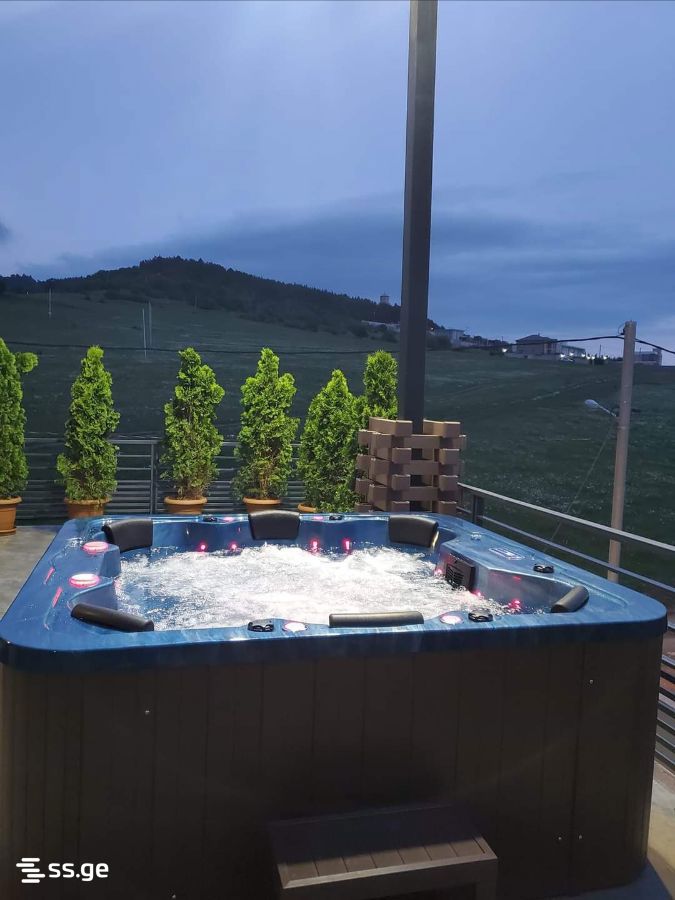 8 Room Summer Cottage Daily Rent. Tabakhmela view 8