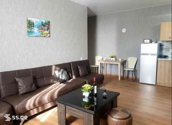 3 Room Flat For Rent. Chugureti view 8
