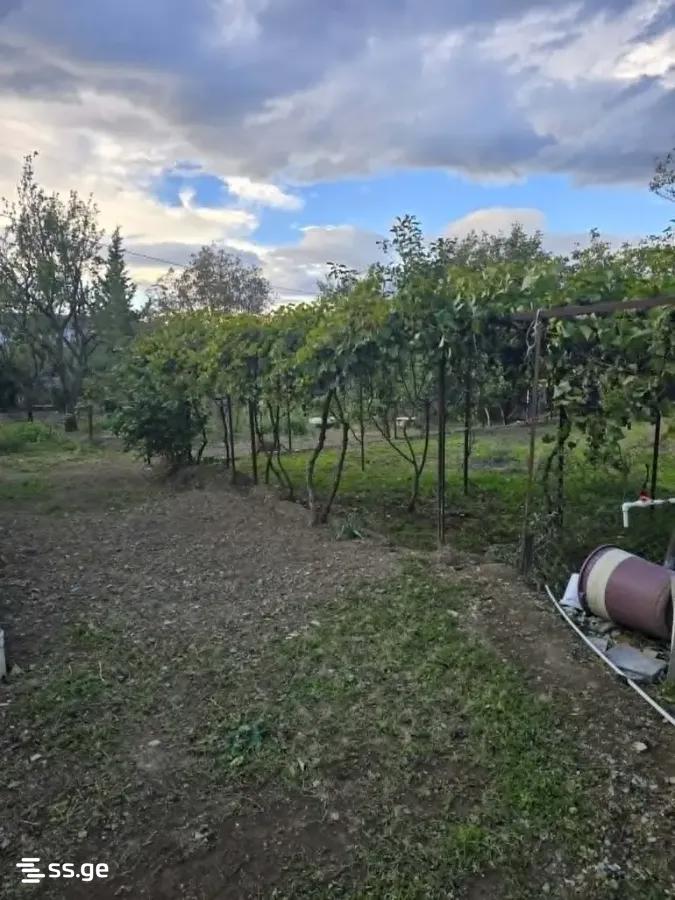 6 Room Summer Cottage For Sale view 4