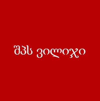 შპს ვილიჯი