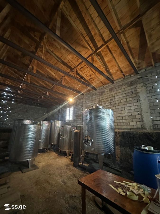 Store-Industrial Property For Sale. Akhmeta view 6