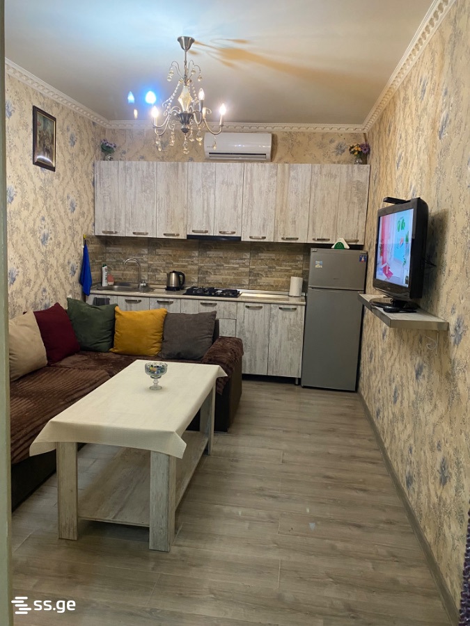 2 room Flat Daily rent. Varketili - Ansicht 2