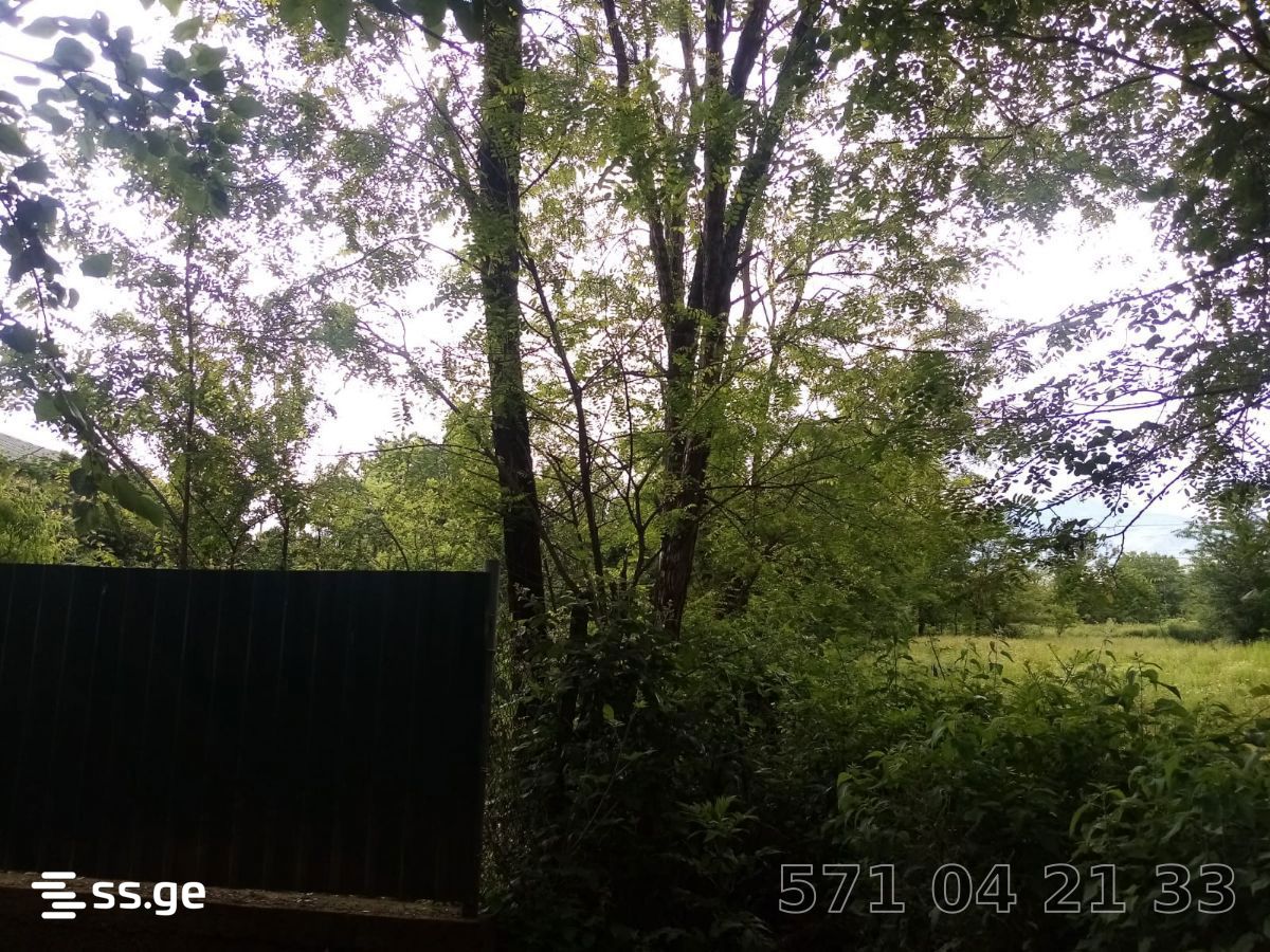 Land For Sale. Zestaphoni view 10