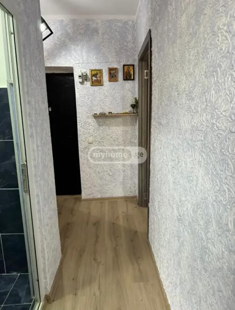 https://static.ss.ge/20260603/4_44d1dbb7-ad93-453f-8343-8c804b52ded0_Thumb.jpg