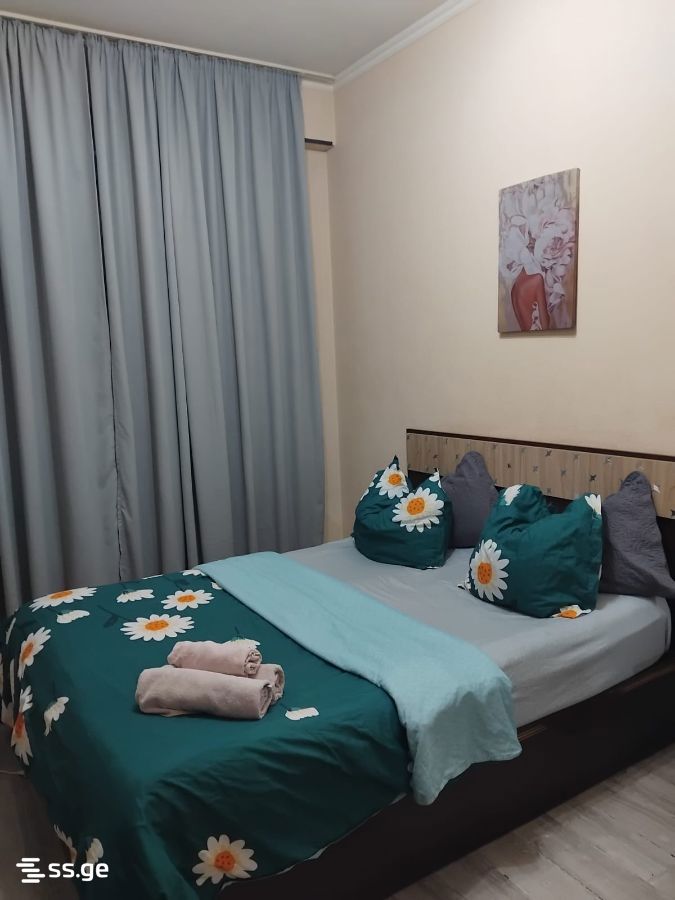 2 Room Flat Daily Rent. Gldani, 1 of 12