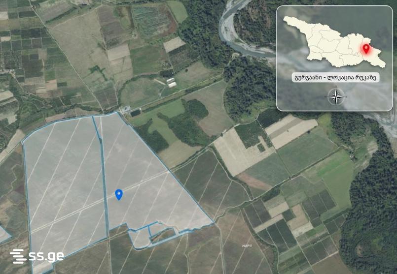 Продажа Земля в гурджаани view 1