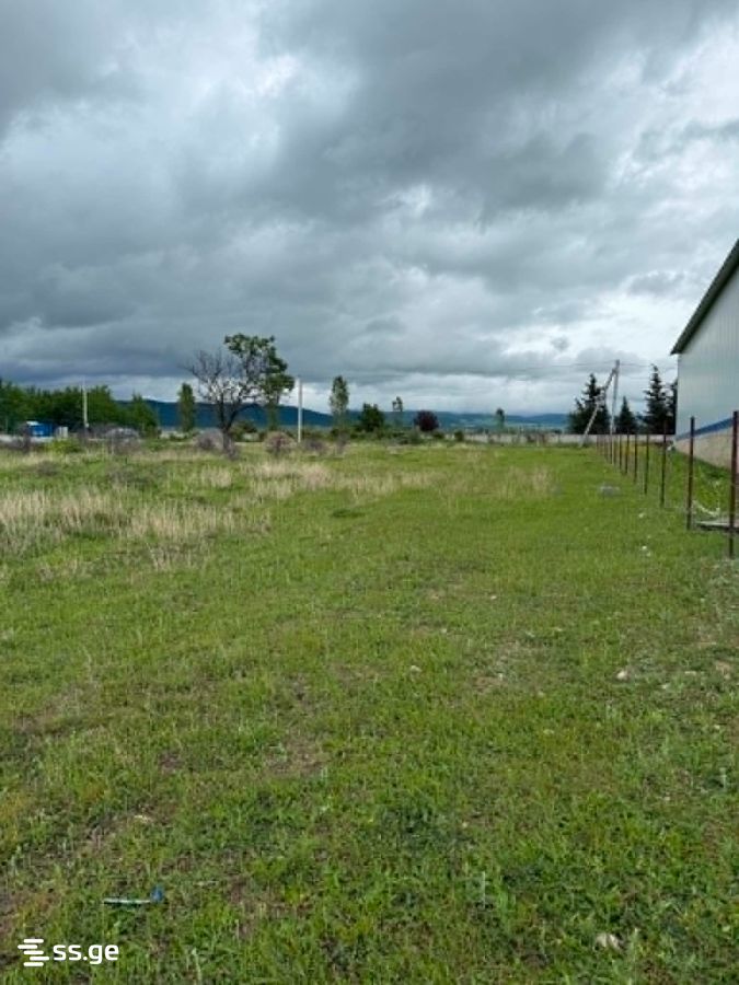 Land For Sale. Saguramo, 2 of 4