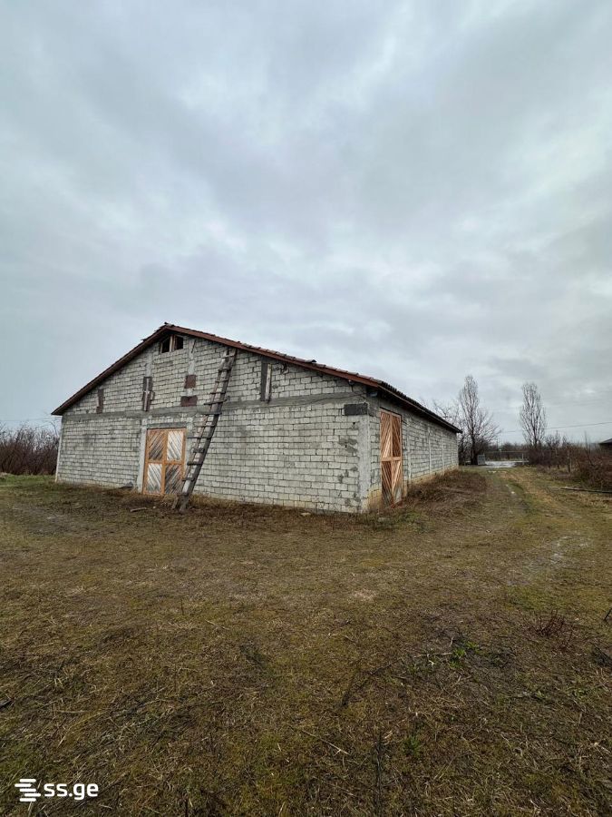 Store-Industrial Property For Sale. Akhmeta view 11