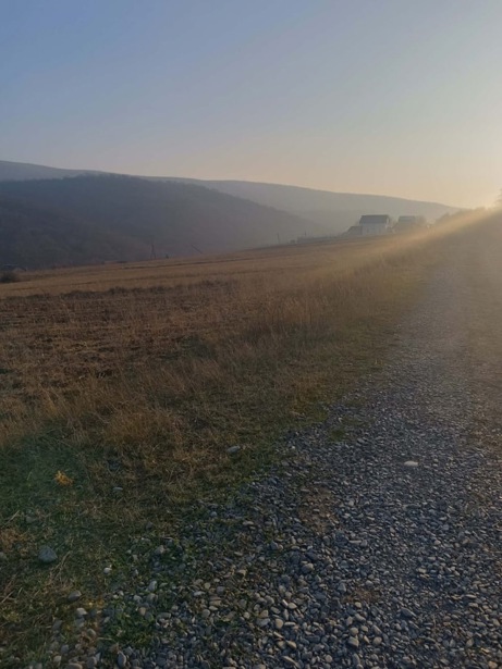 https://static.ss.ge/20260603/6_70906e21-8428-43c7-8d04-0270aea37de2_Thumb.jpg