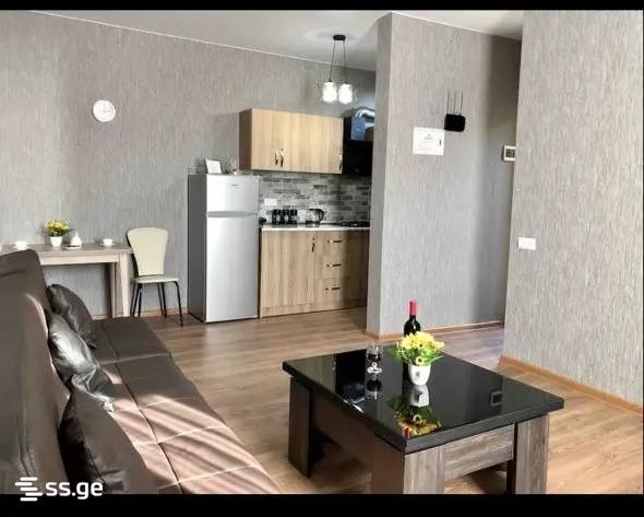 3 Room Flat For Rent. Chugureti view 1