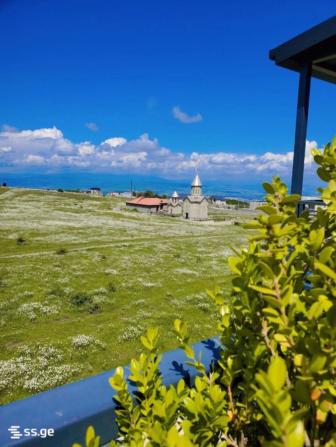 8 Room Summer Cottage Daily Rent. Tabakhmela view 9