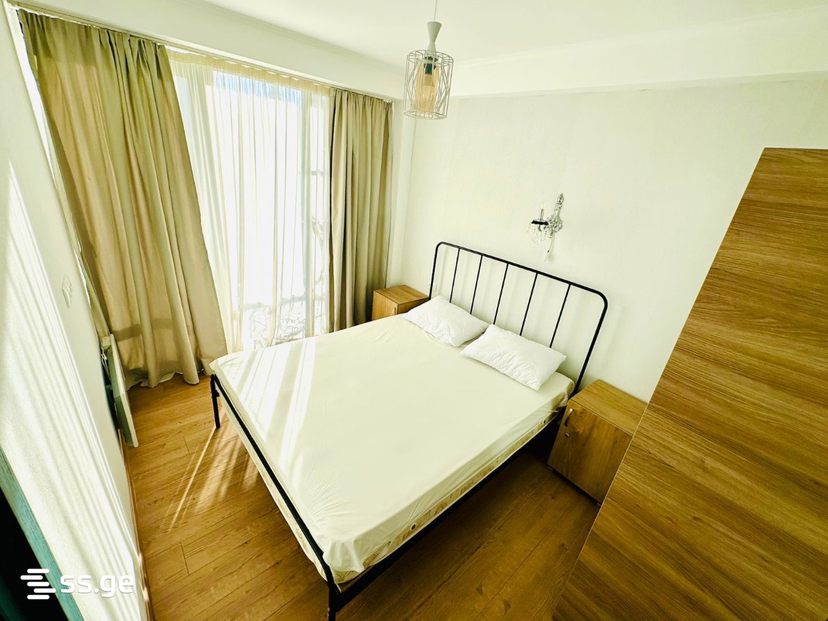 2 Room Flat For Rent. Bakuriani view 2