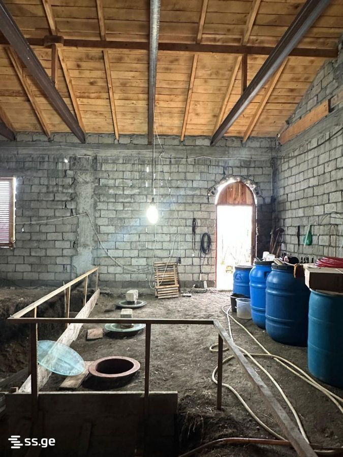 Store-Industrial Property For Sale. Akhmeta view 9