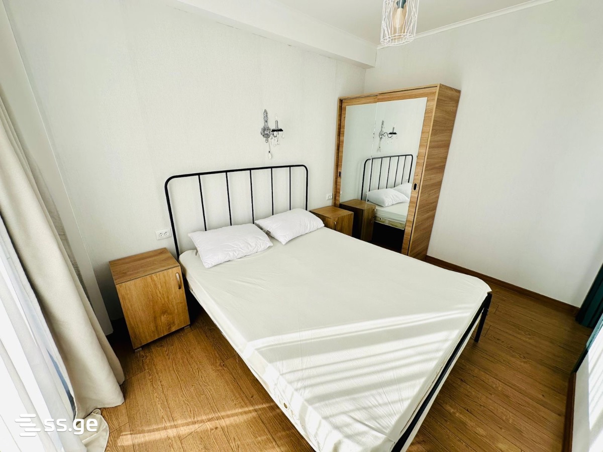 2 Room Flat For Rent. Bakuriani view 7