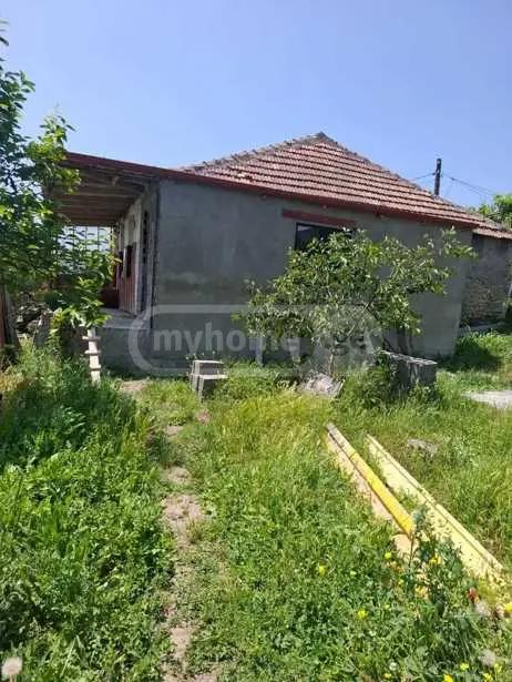 https://static.ss.ge/20260604/0_6977b13d-1d27-45ee-bf61-dadea910f07e_Thumb.jpg
