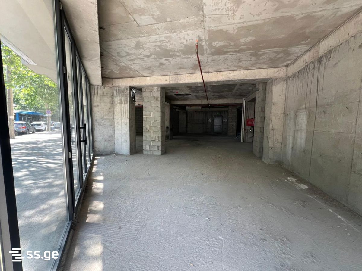 Commercial Space For Sale. Nadzaladevi view 10