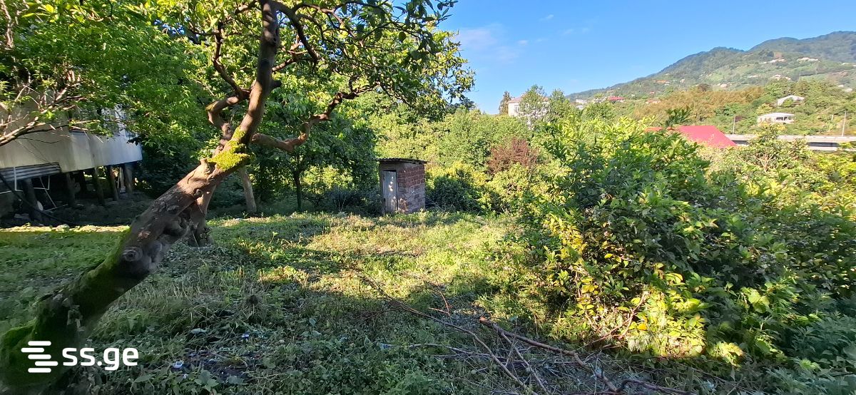 8 Room Private House For Sale view 11