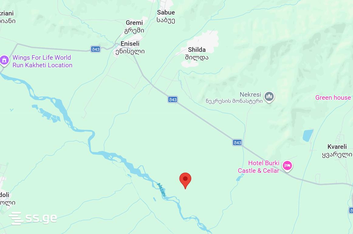 Продажа Земля / участок в Qvarelshi view 18