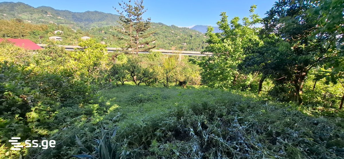 8 Room Private House For Sale view 13