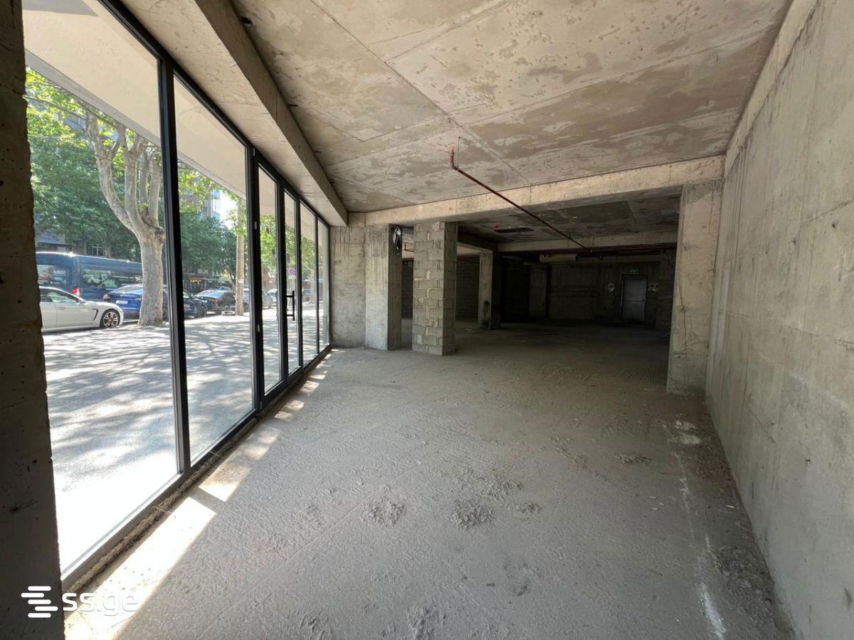 Commercial Space For Sale. Nadzaladevi view 5
