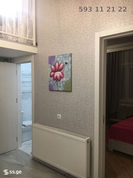 https://static.ss.ge/20260604/1_4f29d1a0-345c-4e06-b8d3-90448bf5cff0_Thumb.jpg