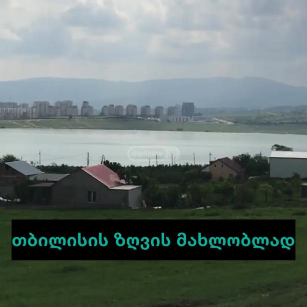 https://static.ss.ge/20260604/3_bf62c2c7-a64b-4ba0-aedb-8572cb26b6a6_Thumb.jpg