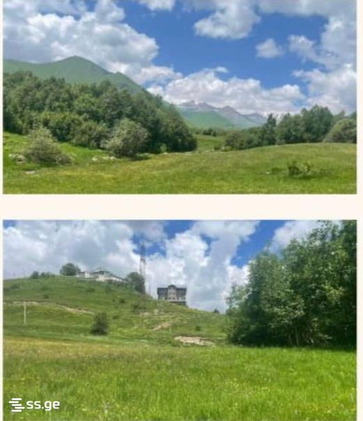 Продажа Земля в Гудаури view 2