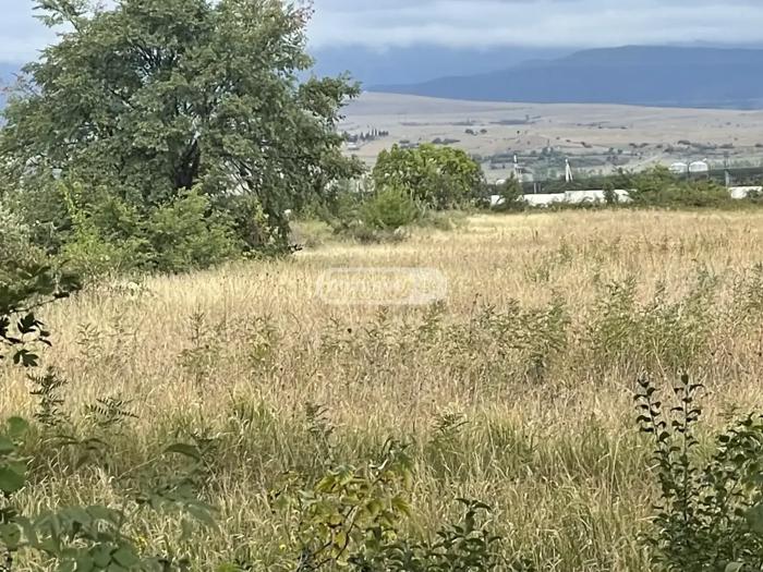 https://static.ss.ge/20260604/5_e125f860-a20c-4726-aaa3-1d9c5e84d8e2_Thumb.jpg