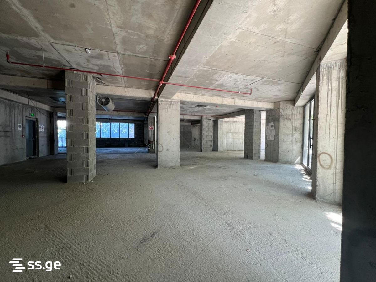 Commercial Space For Sale. Nadzaladevi view 8