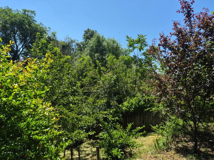 https://static.ss.ge/20260604/8_c396da38-5fad-4474-a467-fbfed5f2c2af_Thumb.jpg