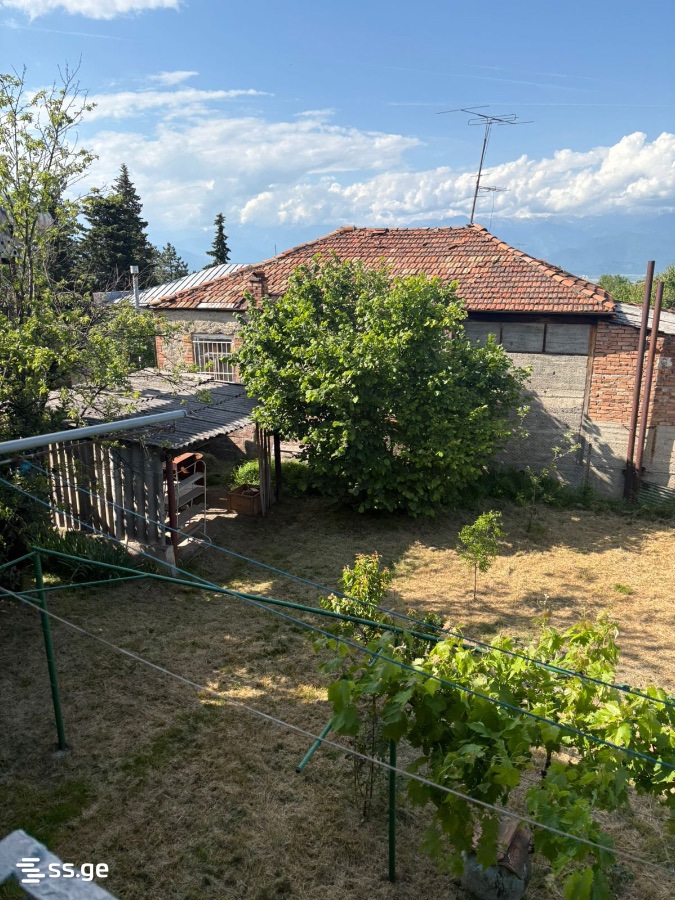 3 Room Private House For Rent. Telavi, 3 of 4
