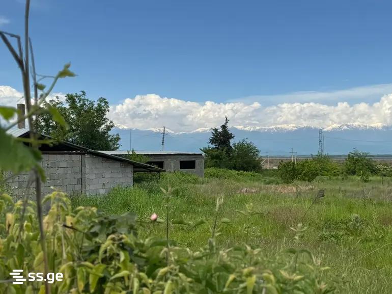 Land For Sale. Gurjaani view 5