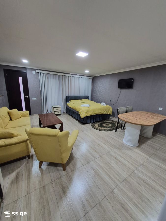 1 Room Private House Daily Rent. Rustavi view 1