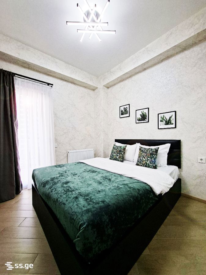 2 Room Flat Daily Rent. Didube, 2 of 4