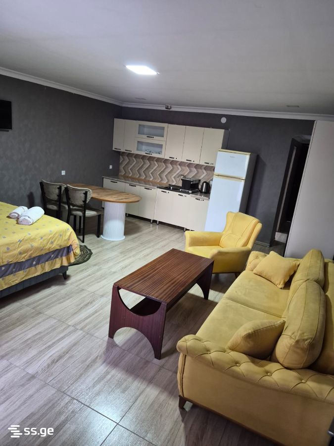 1 Room Private House Daily Rent. Rustavi view 3