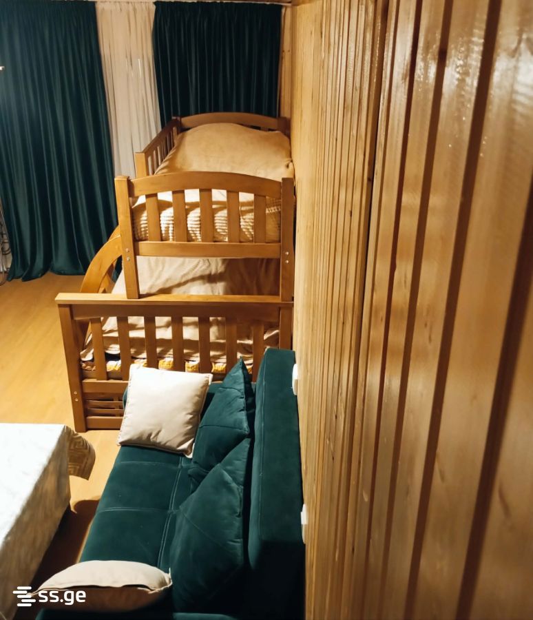2 Room Flat Daily Rent. Bakurianis Andeziti view 3