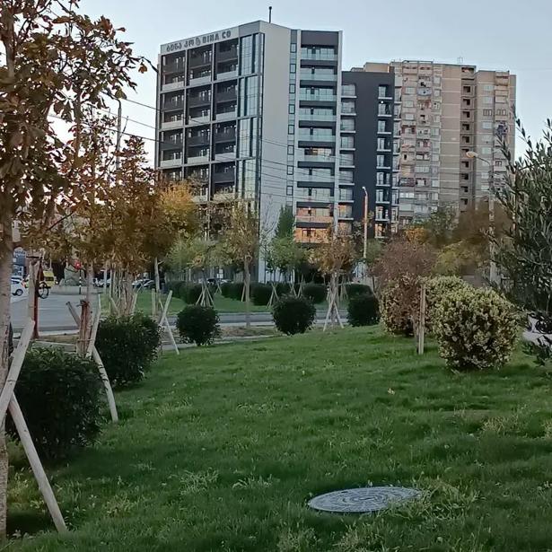 https://static.ss.ge/20260605/14_a546d0dd-5df9-4ad4-a9a9-674dda9d88d1_Thumb.jpg