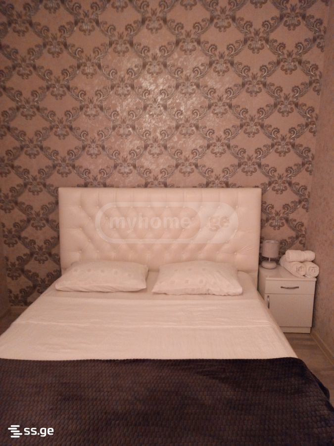 2 Room Flat Daily Rent. Didi Digomi view 2