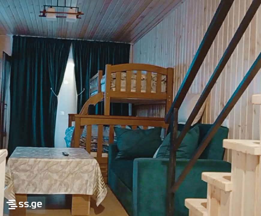 2 Room Flat Daily Rent. Bakurianis Andeziti view 6