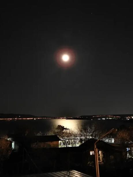 https://static.ss.ge/20260605/17_ebdbdbc0-e1c7-415f-bb9f-aae5ac83b482_Thumb.jpg