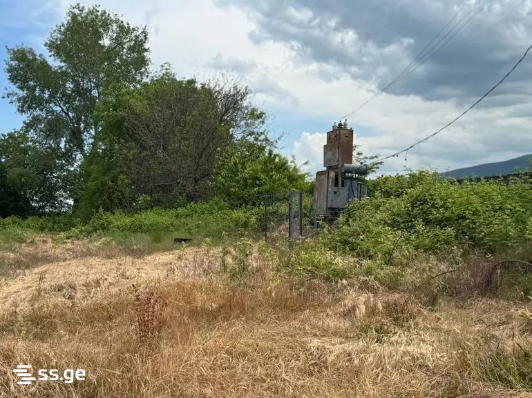 Land For Sale. Gurjaani view 9