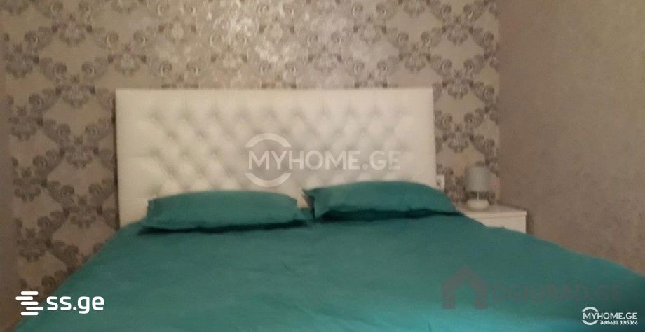 2 Room Flat Daily Rent. Didi Digomi view 3