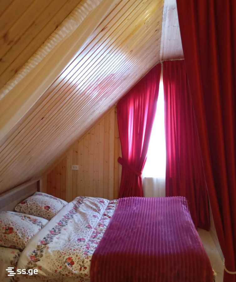 2 Room Flat Daily Rent. Bakurianis Andeziti view 5