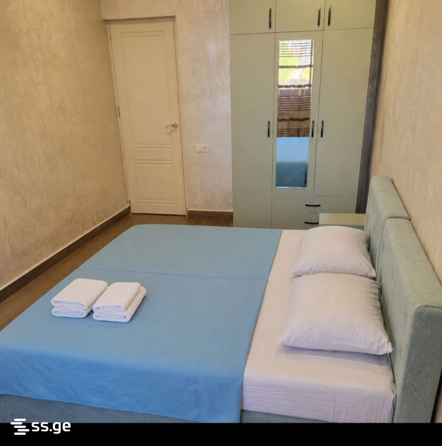 2 room Flat Daily rent. Didi digomi - Ansicht 2