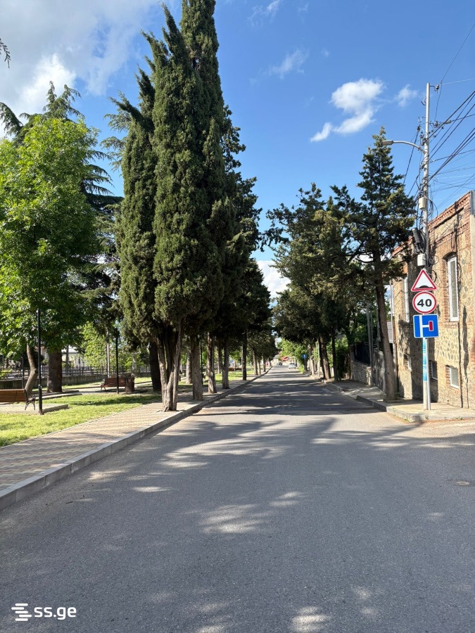 3 Room Private House For Rent. Telavi, 1 of 4