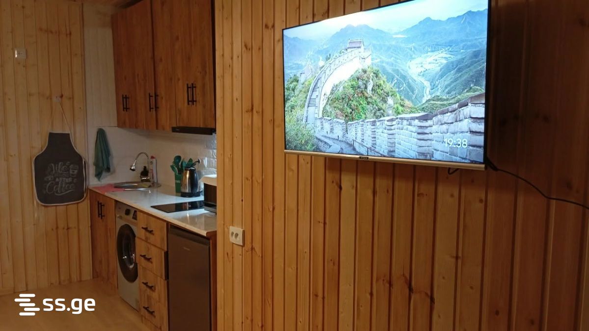 2 Room Flat Daily Rent. Bakurianis Andeziti view 2