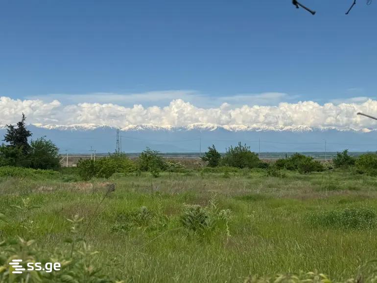 Land For Sale. Gurjaani view 7