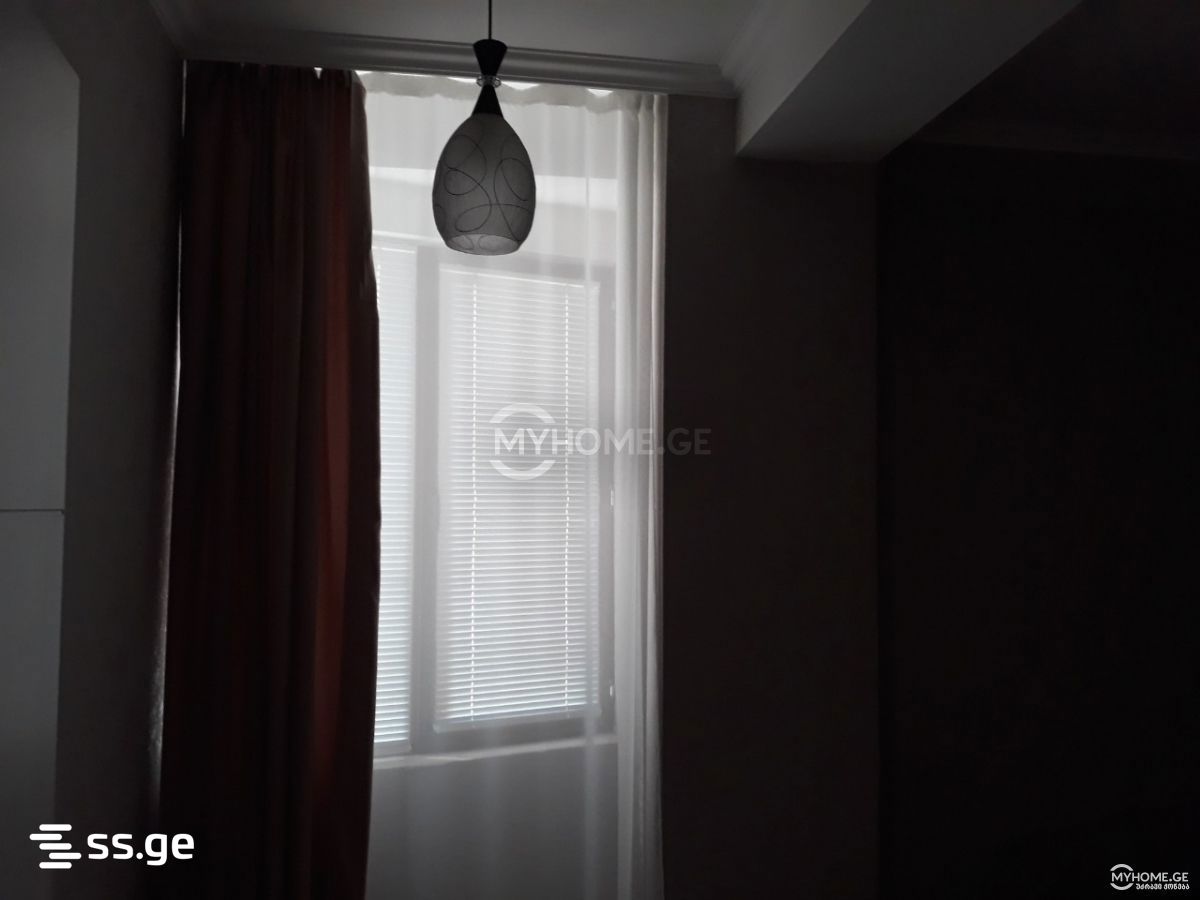 2 Room Flat Daily Rent. Didi Digomi view 7
